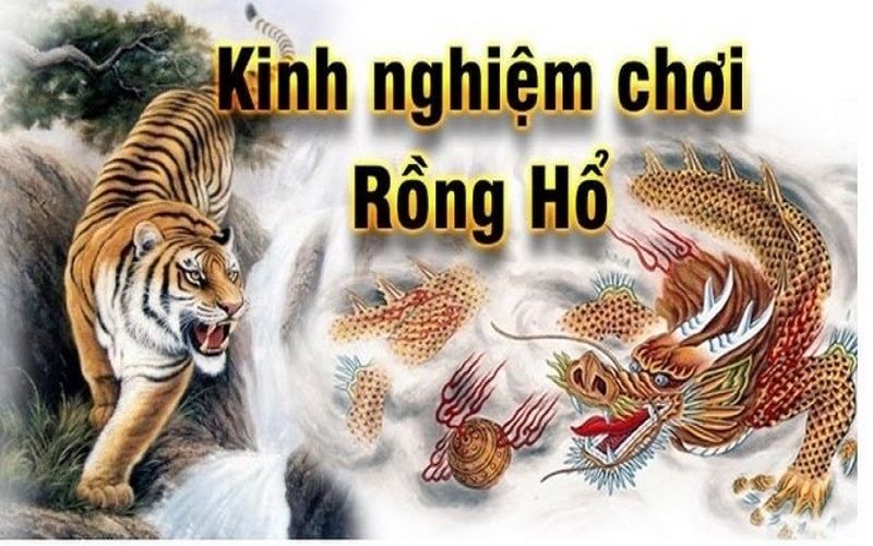 Những mánh khoé tất yếu khi tham gia rồng hổ